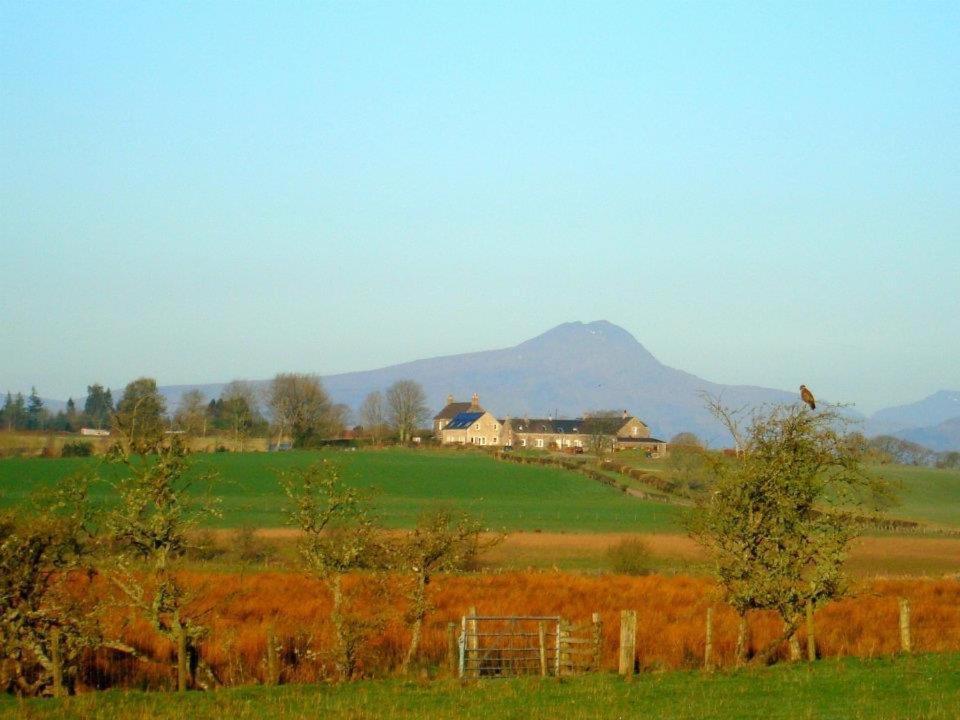 Trossachs Barn & Cabin - Boutique B&B Port Of Menteith Exterior photo